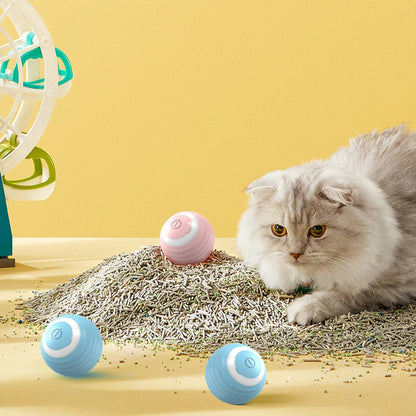 Interactive Cat Ball
