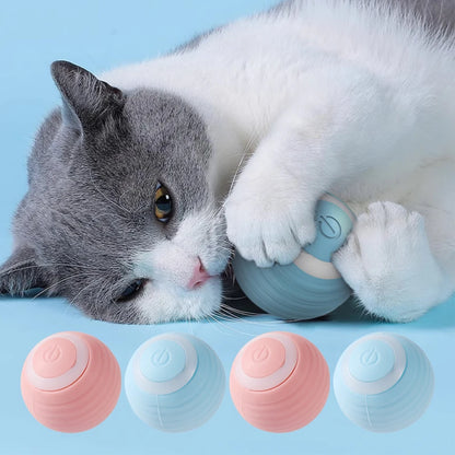 Interactive Cat Ball