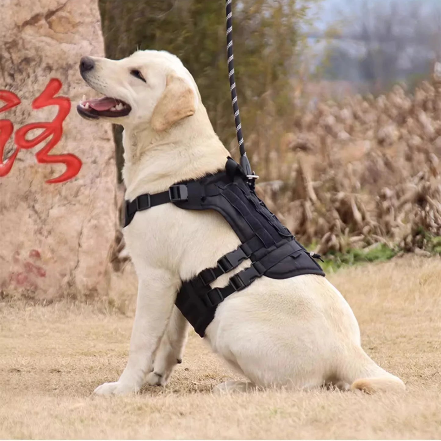 Tactical Dog Harness Medium/Large