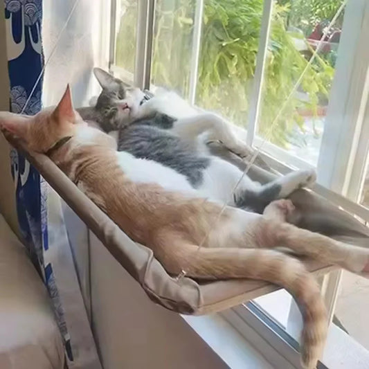 Cat Window Hanging Bed