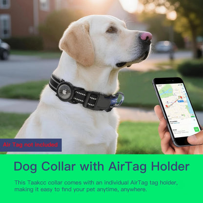 Waterproof Air Tag Dog Collar