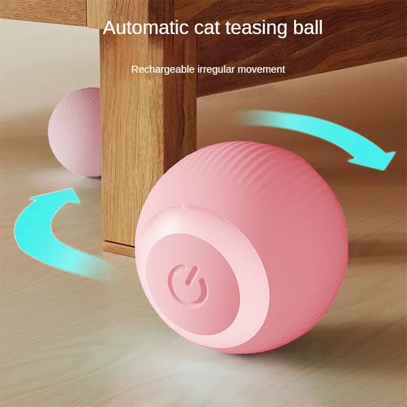 Interactive Cat Ball
