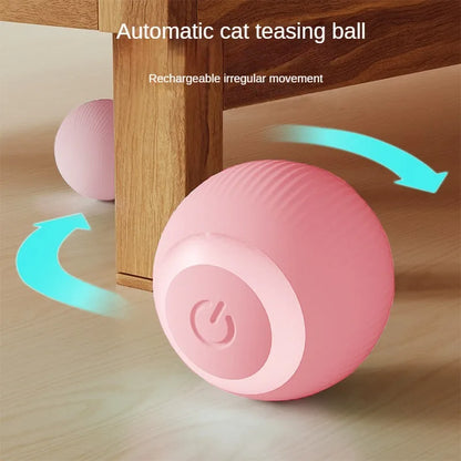 Interactive Cat Ball
