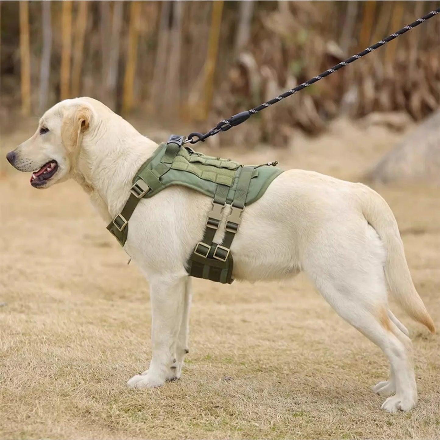 Tactical Dog Harness Medium/Large