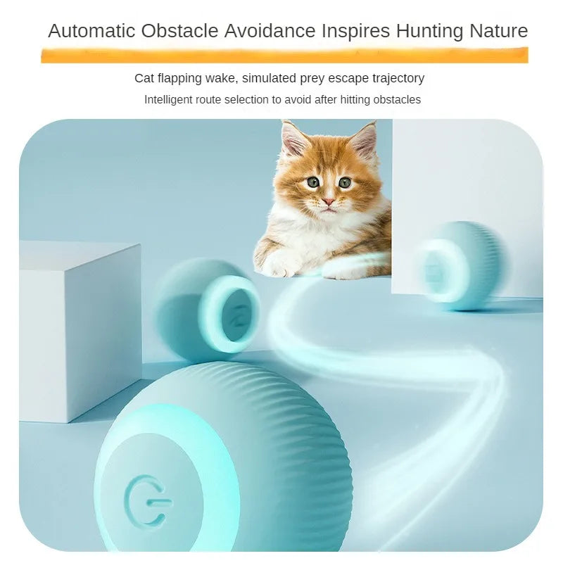 Interactive Cat Ball