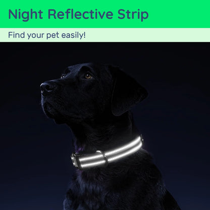 Waterproof Air Tag Dog Collar