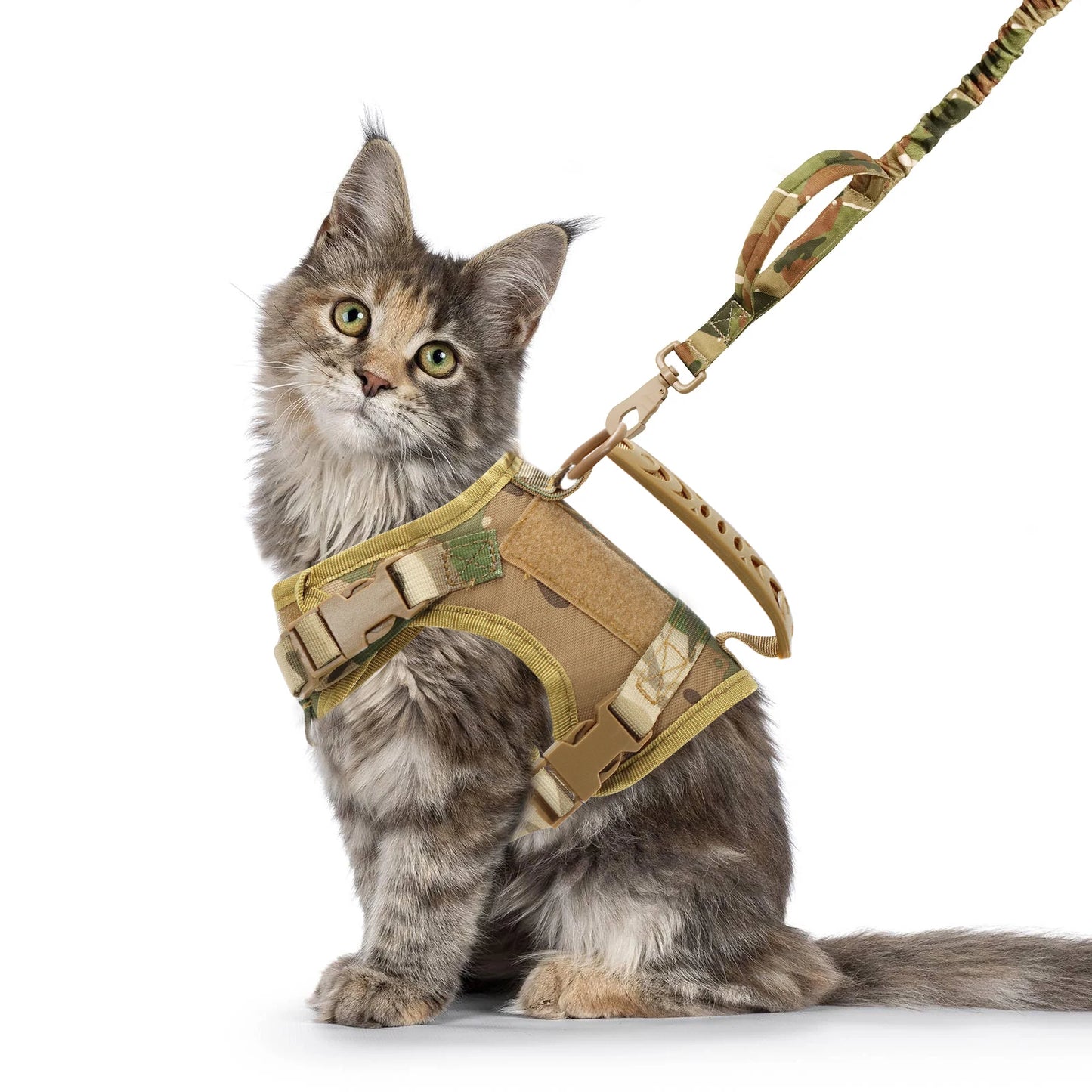 Tactical Cat Harness and Leash