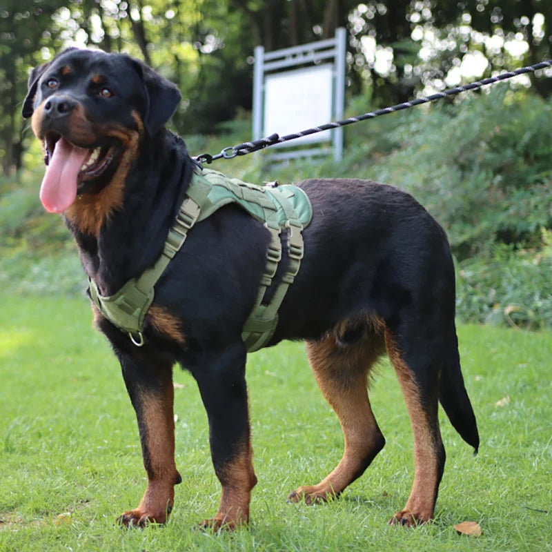Tactical Dog Harness Medium/Large