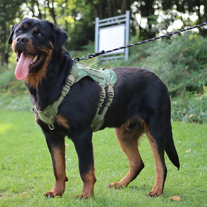 Tactical Dog Harness Medium/Large