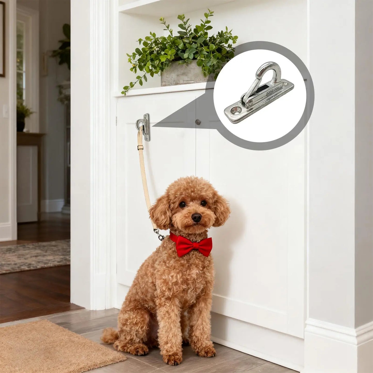Stainless Steel Wall Mount