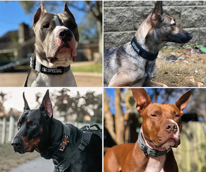 Tactical Dog Collar