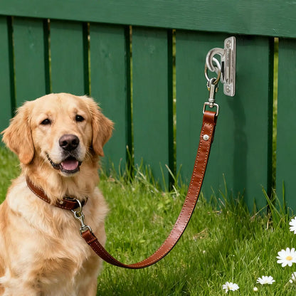 Stainless Steel Wall Mount
