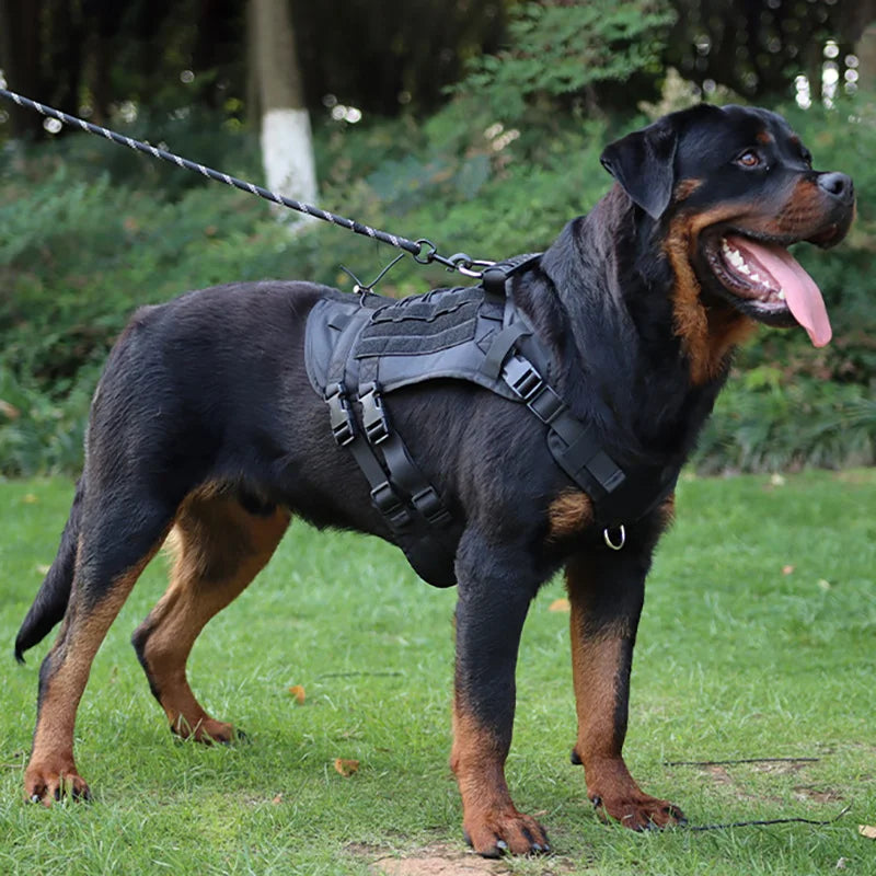 Tactical Dog Harness Medium/Large