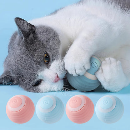 Interactive Cat Ball