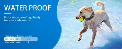 Waterproof Air Tag Dog Collar