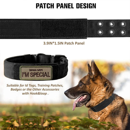 Tactical Dog Collar